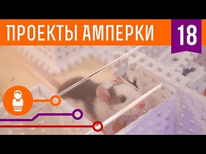 Сыграем в игру. Умный лабиринт для крыс на Iskra JS. Проекты Амперки #18