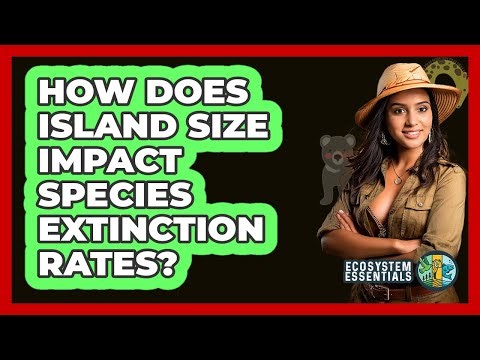 How Does Island Size Impact Species Extinction Rates?