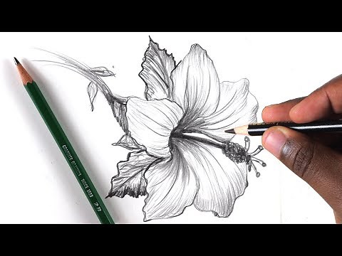 How To Draw A Flower: Step by Step In 10 Minutes