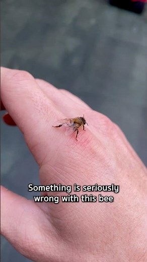 Maybe she’ll make it