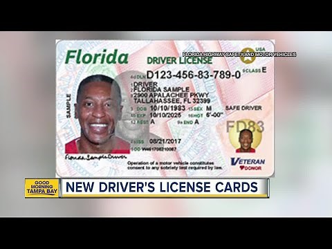 Check out Florida's new driver's licenses and ID cards