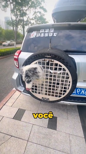 2.1M views · 21K reactions | Zoom Selvagem on Reels | Facebook