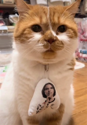 Top Valorant Trends: Gameplay Insights