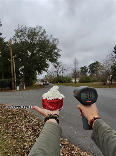 Stopping School Zone Speeders⁉️ #318christerry If the Signs won't Stop them I Will!! (Skit Performed by Professionals- Do Not Attempt)