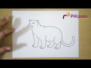 Snow Leopard Easy Drawing Tutorial