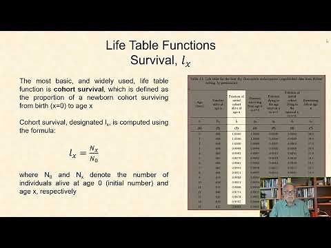 Life table basics