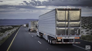 Reefer capacity remains tight: How to optimize available trailers