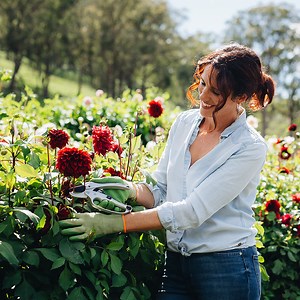 Ratchet Hand Pruners | Hoselink