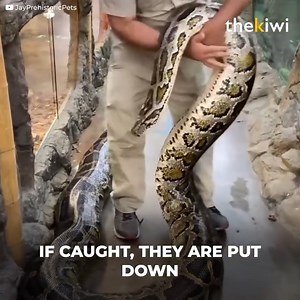 375K views · 1.5K reactions | This mother was left abandoned next to...