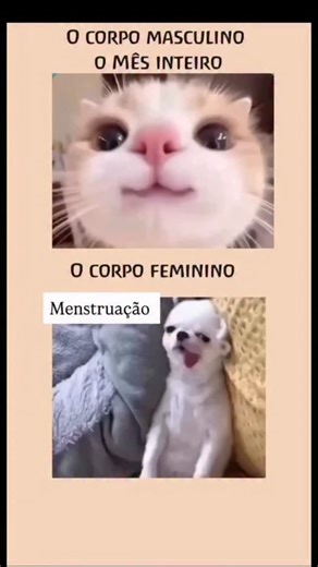 Dr Georges Kabouk - Reprodução Humana on Instagram: "Homens e mulheres têm realidades biológicas bem diferentes — e isso fica ainda mais evidente quando falamos do ciclo menstrual. Enquanto o homem mantém níveis hormonais mais estáveis ao longo do mês, a mulher passa por fases que influenciam energia, humor, apetite e até desempenho nos treinos. 🌸 Fase menstrual: Quando a menstruação chega, é comum sentir cólicas, queda de energia e maior sensibilidade. O corpo está focado na renovação do endom