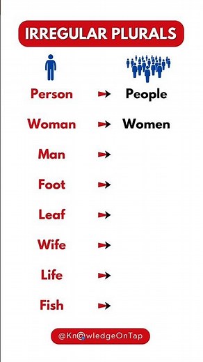Common Irregular Plural Nouns in English