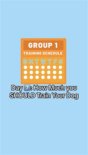 Optimal Dog Training Schedule for Best Results
