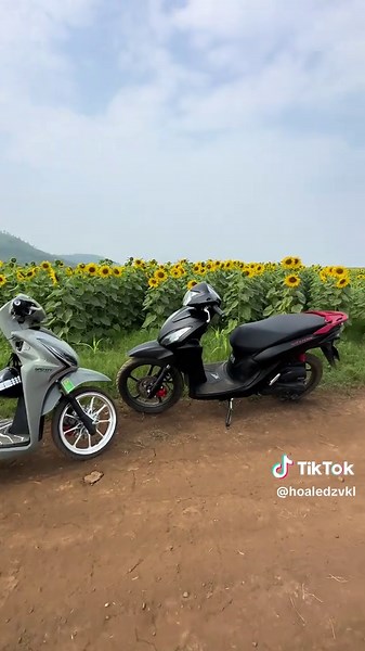 ae đã đến xem hoa chưa =)))) #dio110 #vision #hoale