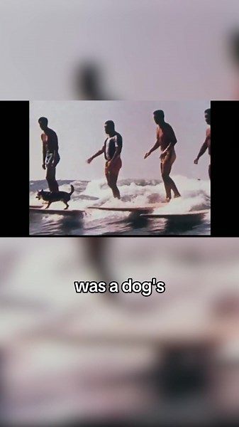 Bobby Fischer: The Rise and Fall of a Chess Champion