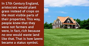 10 Things that Were Once Considered a Status Symbol