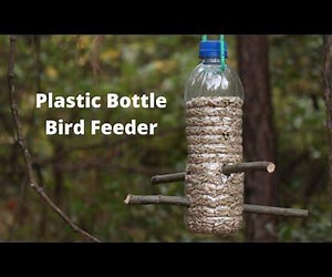 Plastic Bottle Bird Feeder