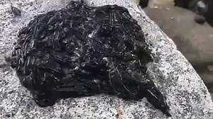 Black slime likened to 'Venom symbiote' caught wriggling in gross video ! strange slimy creature , or creatures, has been filmed writhing around on a rock and the internet is suitably horrified. The black mass has been compared to the "Venom symbiote" – an alien that infects human hosts and is Spiderman's arch-nemesis in the Marvel comics and films . | Aliens and the Universe