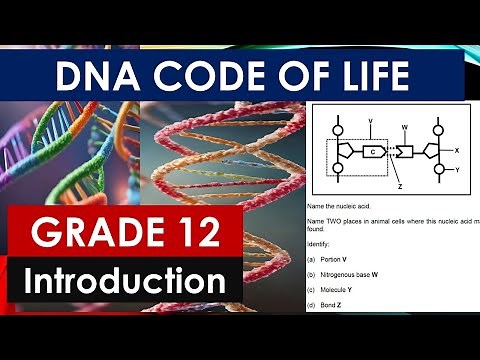 INTRODUCTION TO DNA CODE OF LIFE : GRADE 12 LIFE SCIENCES BY M.SAIDI THUNDEREDUC