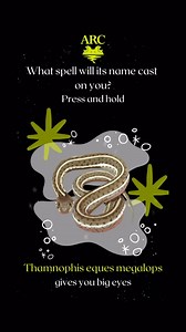 Double, double toil and trouble… Have you ever wondered why animal species have two sets of names? The simpler English name is usually referred to as the common name, but every species also has a scientific name. Even though it is often more enchanting to use common names, there’s nothing about scientific names to be afraid of… except maybe how bad our pronunciation is! Scientific names usually have Latin or Greek roots that describe something about the species. For example, the pine woods tree 