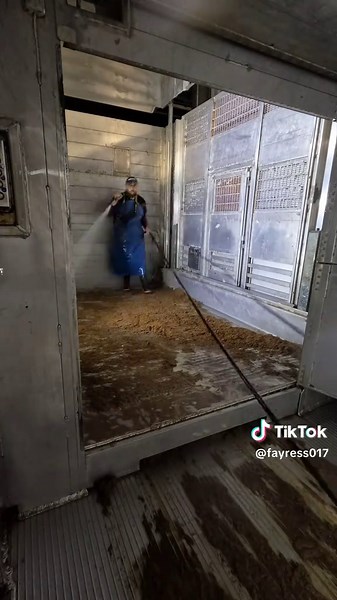 Effective Livestock Cleaning Techniques for Farmers