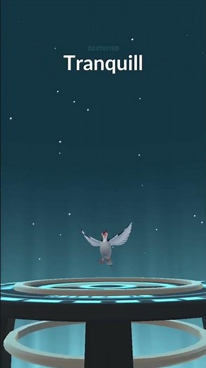 Pidove evolution in Pokemon GO #Pokemon #Shorts