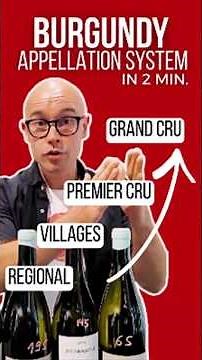 Burgundy’s Appellations Explained in 2 minutes (Bourgogne to Grand Cru) #wine #wset