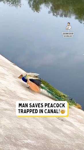 Grace meets gratitude in the water 🫡❤️ | Dad Jokes