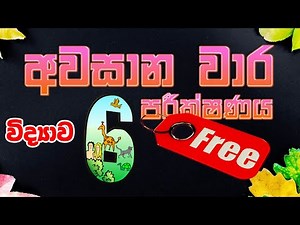 Grade 6 Science - අවසාන වාර පරීක්ෂණය (පේපරය නොමිලේ Download කරගන්න)