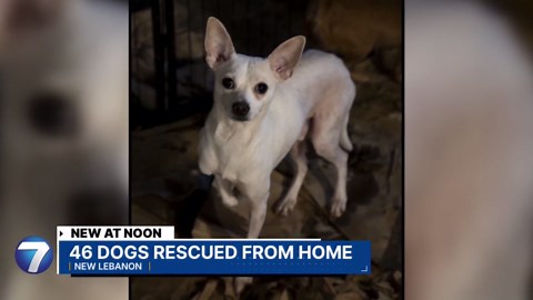 Humane Society rescues 46 animals from hoarding