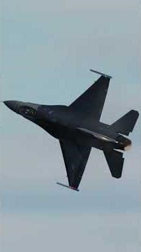 Max Blower Cat And Mouse Ends With One Shot Kill By Inches!