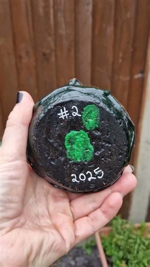 Alien Facehugger Egg #2. Handmade. Acrylics. Gloss Varnish.