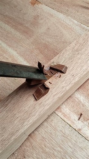 An easy way to plug a hole in wood. #sorts