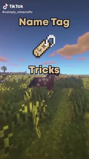 Creative Minecraft Name Tag Tricks