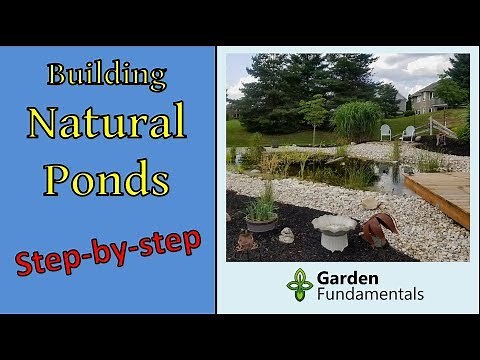 Building a Natural Pond, Step-by-Step [plus tips for making any pond look more natural]