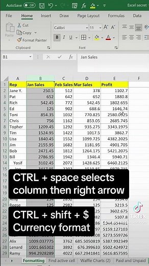 Excel tips for formatting with shortcuts