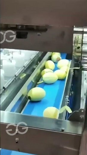 Mango Peeling Machine For Mango Processing Solution