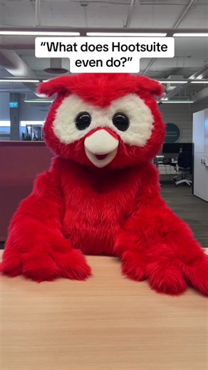 Discover What Hootsuite Does in This Informative Video