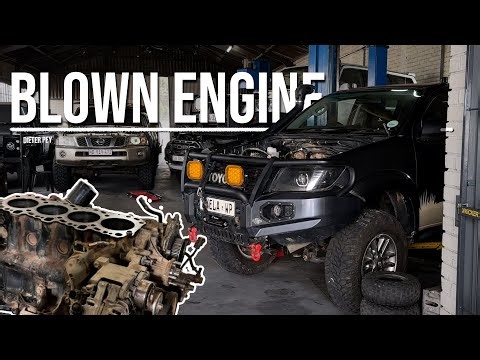 Hilux Engine Rebuild: The Truth About Injector Failure & Bad Fuel