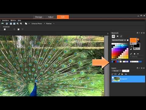 Introducing PaintShop Pro X7