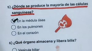 6.6K views · 41 reactions | General Knowledge Quiz #trivia #math #quiz #preguntasyrespuestas #QuizChallenge #challenge | Quiz lab | Facebook