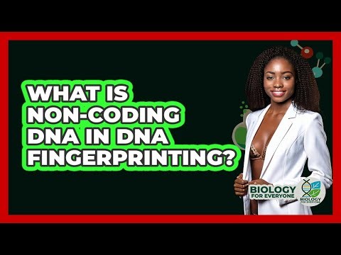 What Is Non-coding DNA In DNA Fingerprinting? - Biology For Everyone
