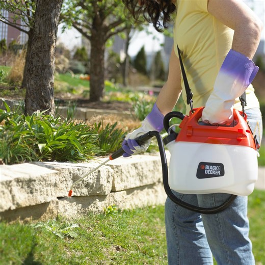 Weed Killers: 5 Things to Know Before You Spray