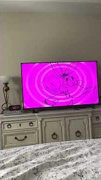 Opening To Looney Tunes The Golden Collection Volume 1 2003 DVD (Disc 2)