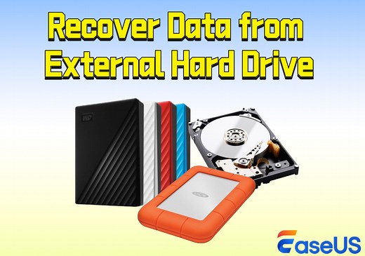 How to Perform External Hard Drive Data Recovery [Windows & Mac]