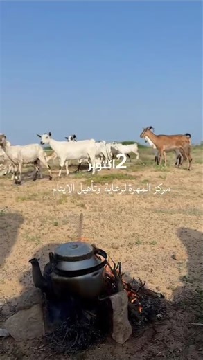 فعاليات يوم اللغة المهرية