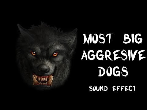 Most big aggressive dogs bark & growl - True recording sound effects HQ