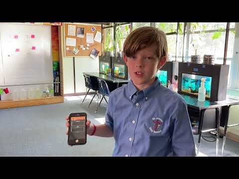 The Doppler Effect with Sound