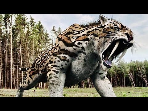 Saber Tooth Tiger Prehistoric Predator Full Documentary