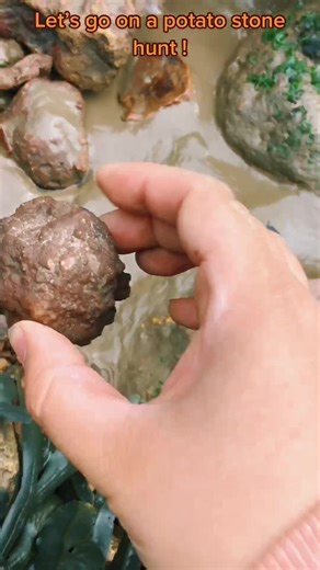 Geode Hunting Adventure in Southwest England