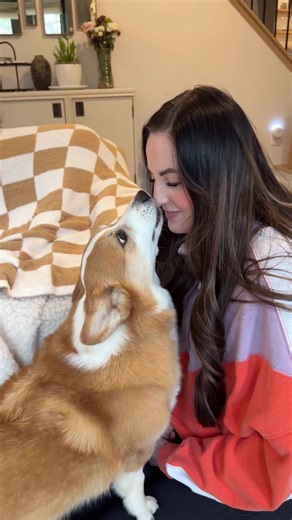 Happy 9th birthday Hammy! | #happybirthday